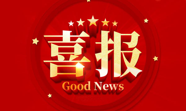 B体育荣获国家专精特新“小巨人”企业称号